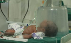 incubator