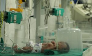 incubator